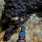 U.S. Shilajit High Potency Liquid Extract