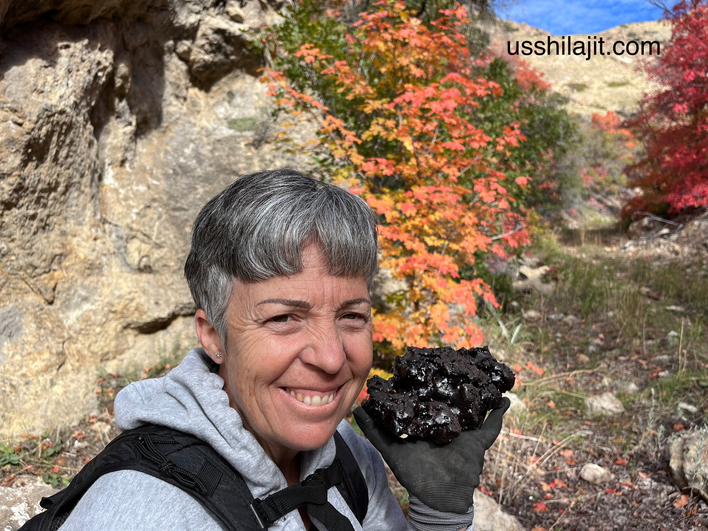 U.S. Shilajit High Potency Liquid Extract